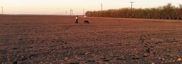 tracking